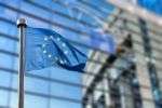 Programa de prácticas “Libro Azul”. Dos veces al año, la Comisión Europea propone dos tipos de prácticas remuneradas de 5 meses de duración: prácticas administrativas o prácticas de traducción en la Dirección General De Traducción.